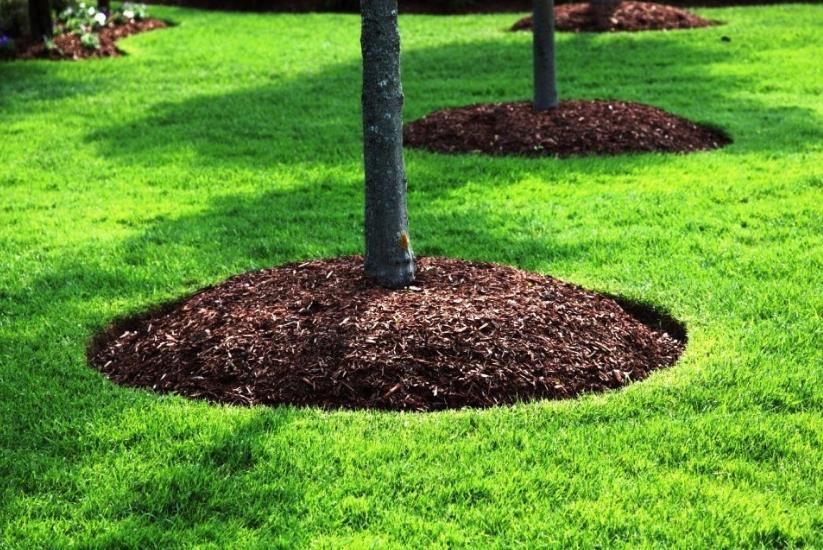 bd0d0d93-48e2-4552-8da0-52f71a153630