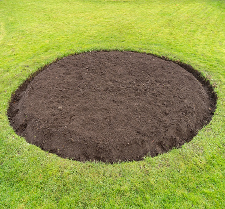 istockphoto-1298400072-170667a